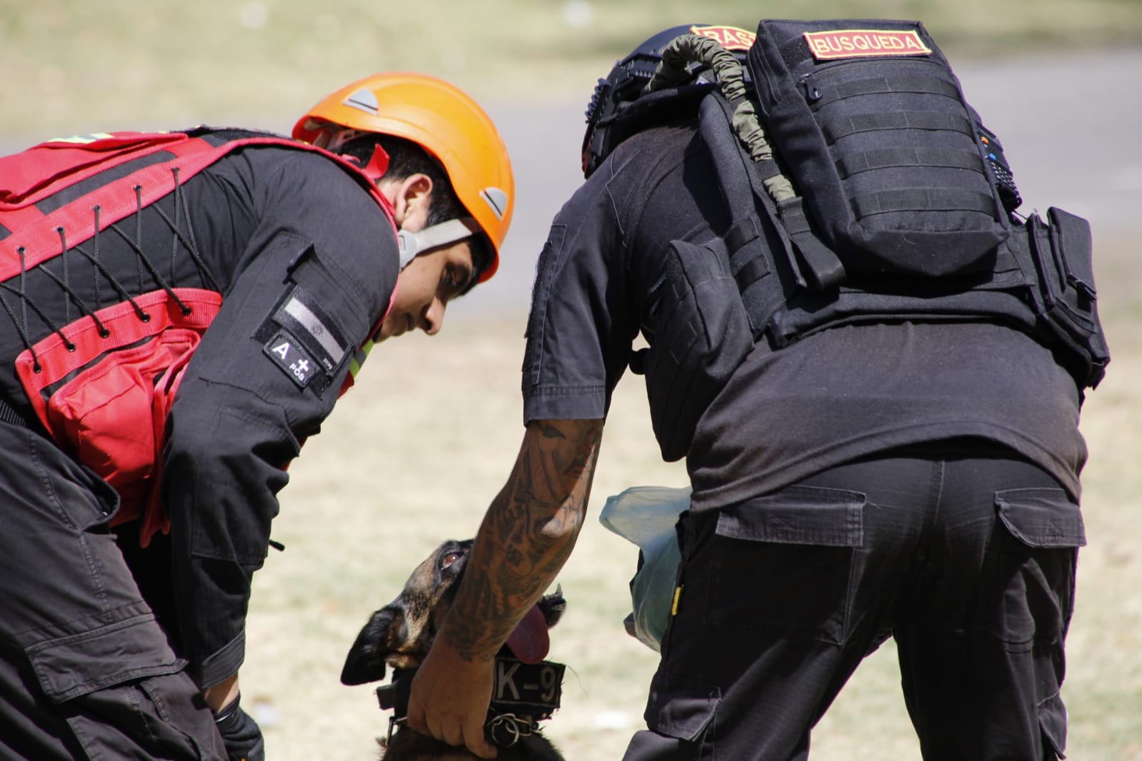 Simulacro de la Unidad K9 de Bomberos Vuelta de Rocha